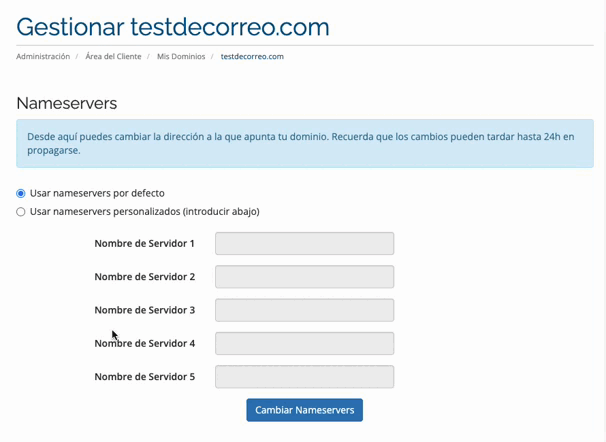 Gestionar DNS personalizadas desde el área de cliente