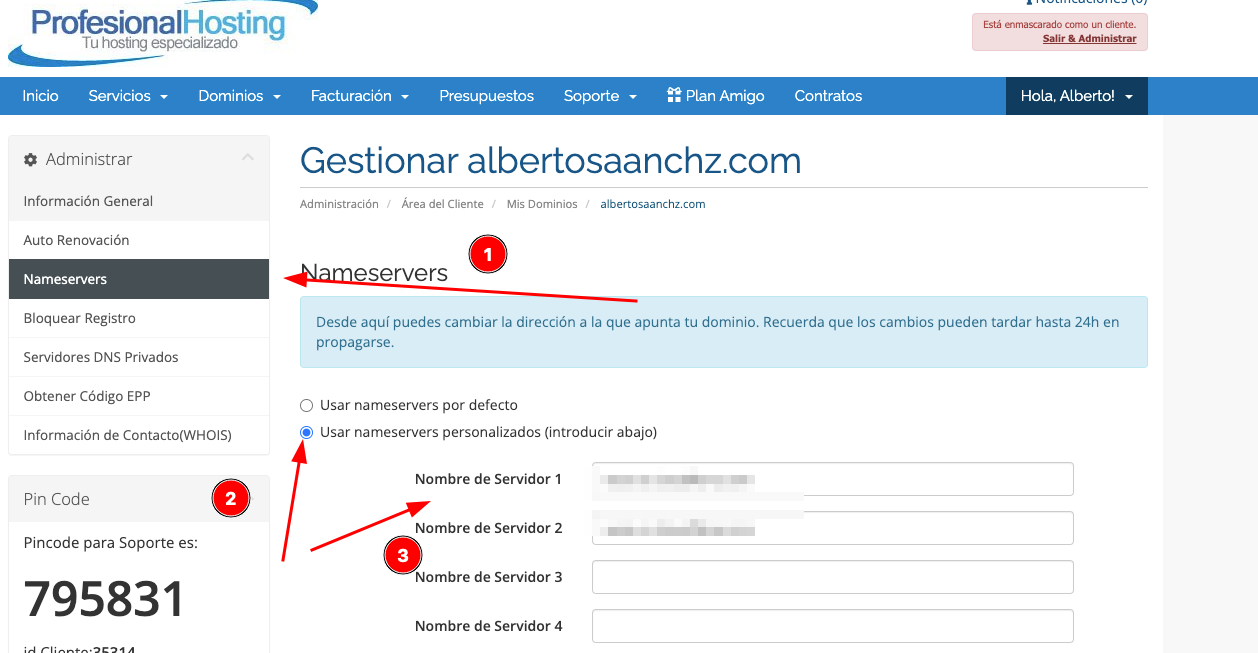Área de cliente, cambiar Nameservers del dominio