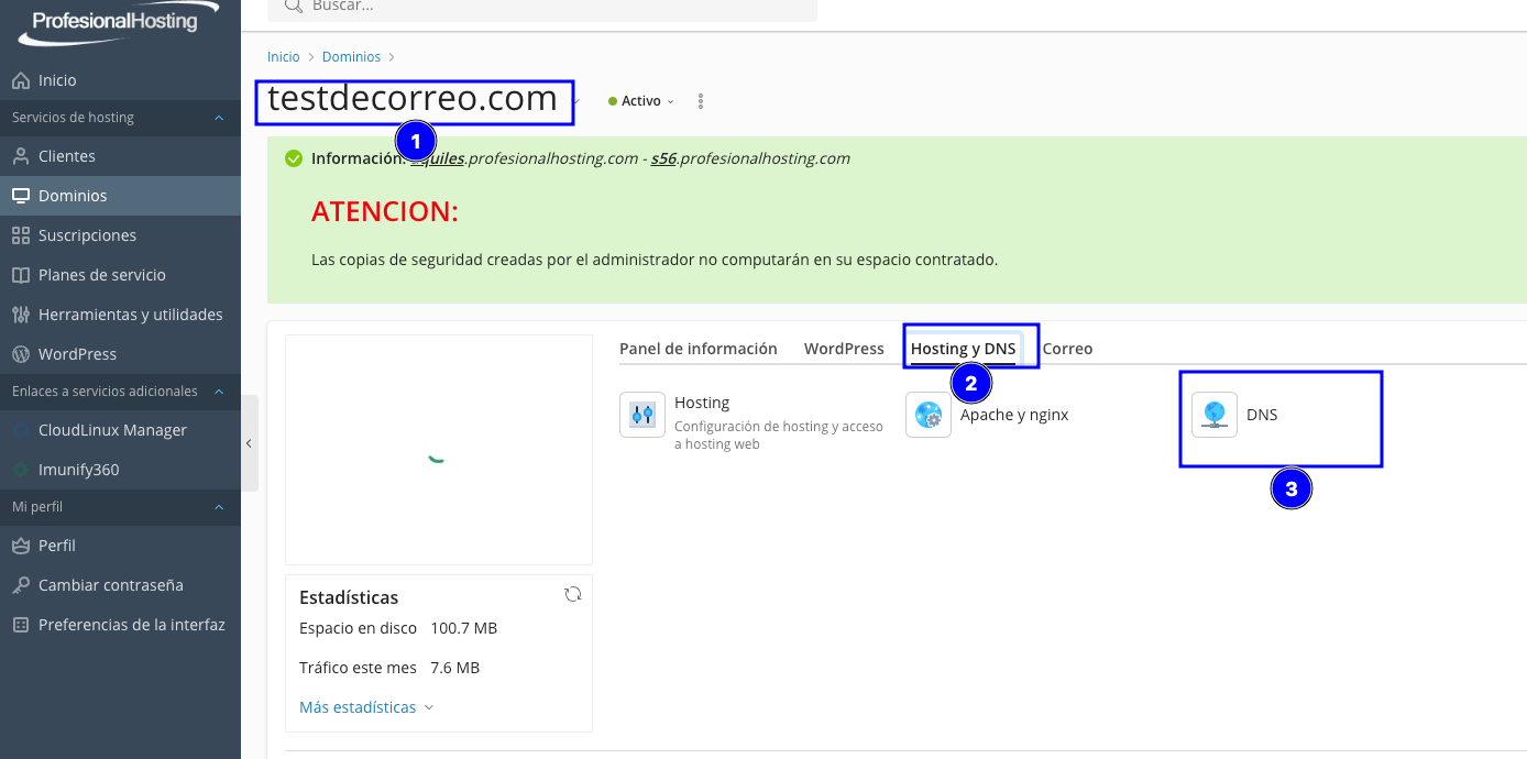 Panel Plesk, dominio acceso a zona DNS